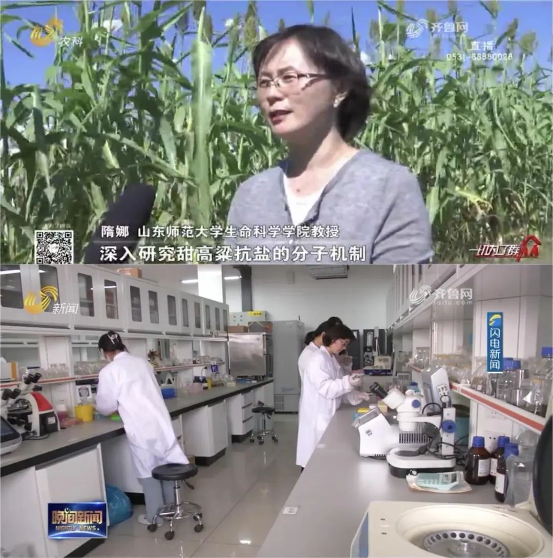 研究生毕业典礼｜循梦而行